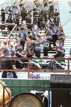 Flag Corps And Percussion In The Stands