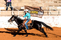 College National Finals Rodeo Flag