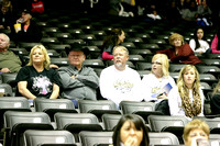 Fans In The Stands