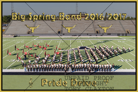 BSHS 2016 Marching Band Group Picture At Memorial