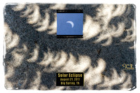 Solar Eclipse In Shadows From Live Oak Tree
