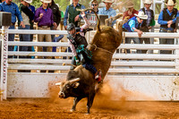 Rhett Kelley - Bull Riding