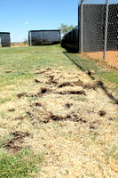 Turf Damage To Softball Field, 8/23/2011