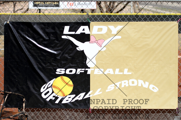 Lady Steer Softball Banner