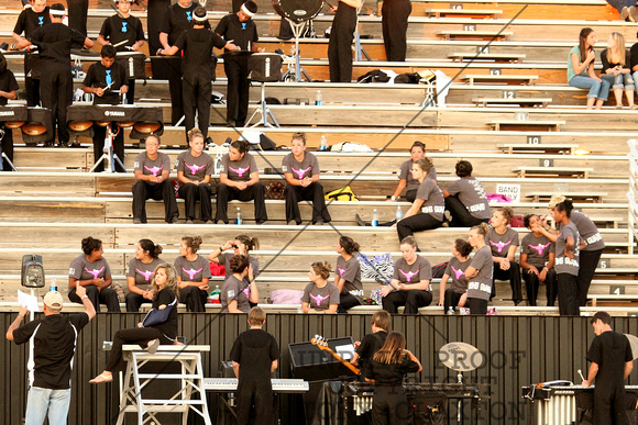 Band Performing In The Stands