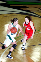 Sarah Johnson Guarding The Ball Handler