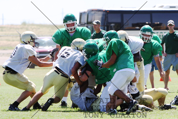 Steers Tackling The Ball Carrier