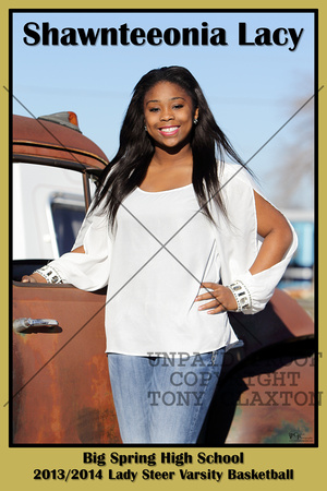 Shawnteeonia Lacy Poster