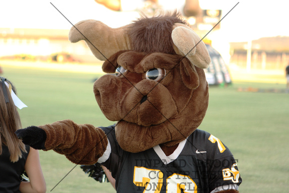 BSJH Steer Mascot