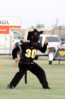 Steer Mascot Daniel
