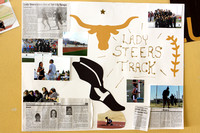 Lady Steers Track Poster