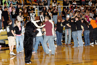 Steer Mascot and Students During Canyon Playoff Pep Rally