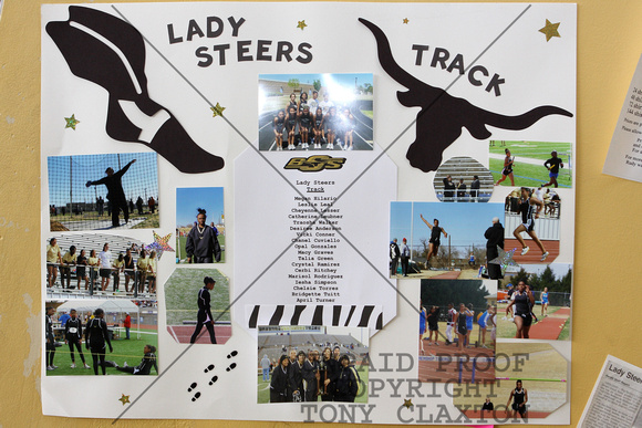 Lady Steers Track Poster