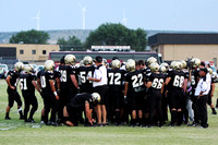 Steers Huddling During A Time Out