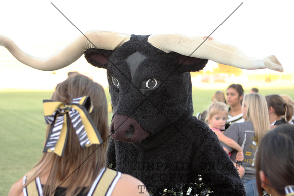 BSHS Steer Mascot
