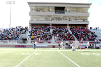 Crowd In The Stands