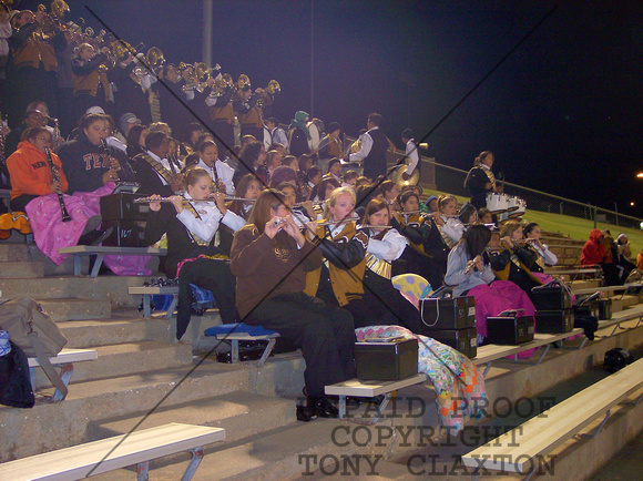 Band Playing In Stand