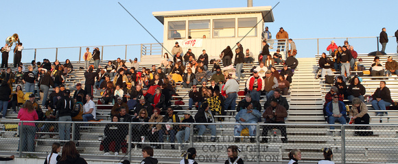 Crowd In The Stands