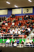 Fans In The Stands