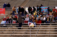 Band Playing In The Stands