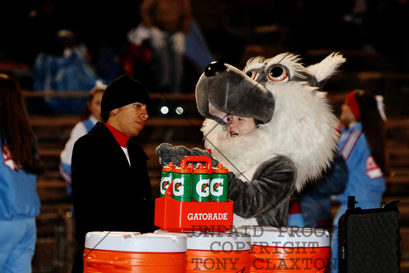 Coyote Mascot Getting A Drink