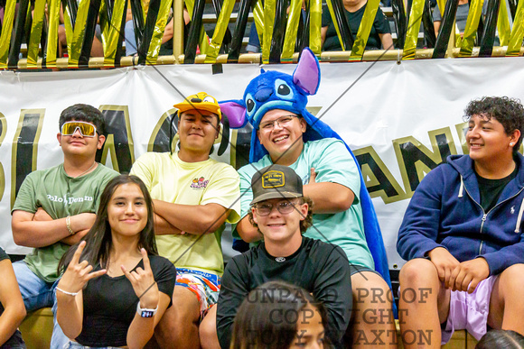 Disney Themed Fans In The Stands