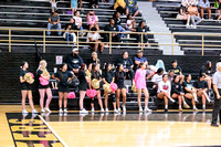 BSHS Cheer at the Lake View Volleyball Game, 10/5/2024