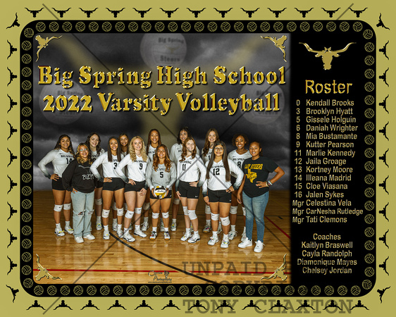 BSHS Varsity Volleyball Team - 8x10