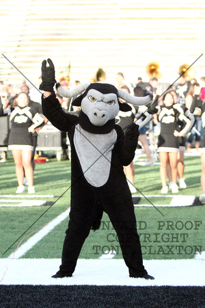 High School Mascot Leading A Cheer