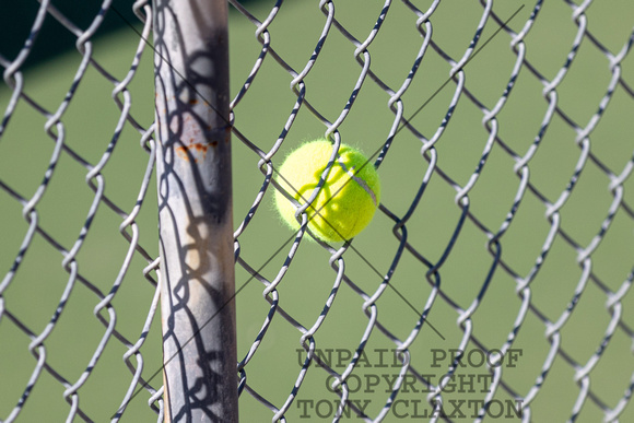 Ball Stuck In Fence