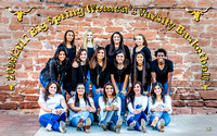 BSHS Women's Basketball Individual and Banner Pictures, 12/1/2016