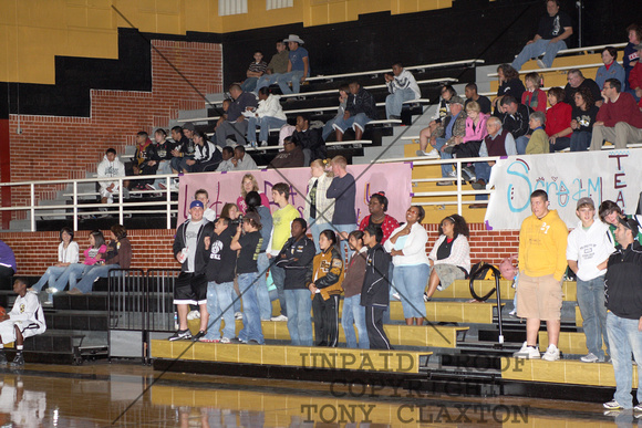 Fans In The Stands