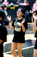 BSHS Cheer at Lakeview Volleyball, 10/15/2022