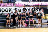 BSHS Cheer at Lakeview Volleyball, 10/15/2022