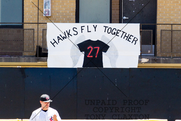 Hawks Fly Together Banner