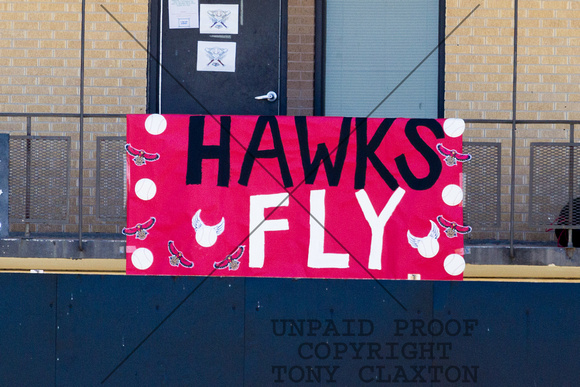 Hawks Fly Banner