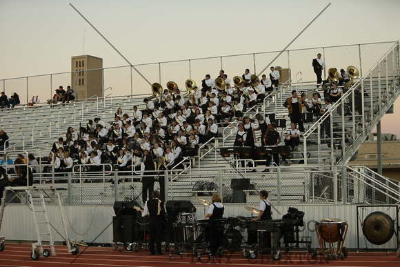 In The Stands