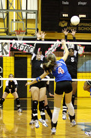 Belle and Desiree Blocking With Sloan Backing Them Up