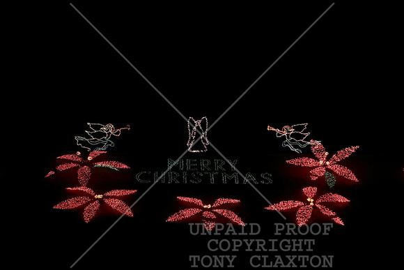 Poinsettias And Merry Christmas On Lake Dam