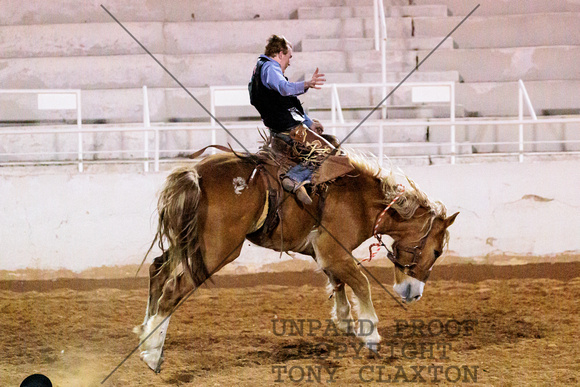 Carson Bingham - Saddle Bronc Riding