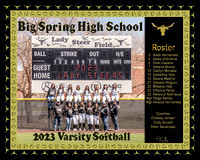 2023 BSHS Varsity Softball Team Banner - 8x10