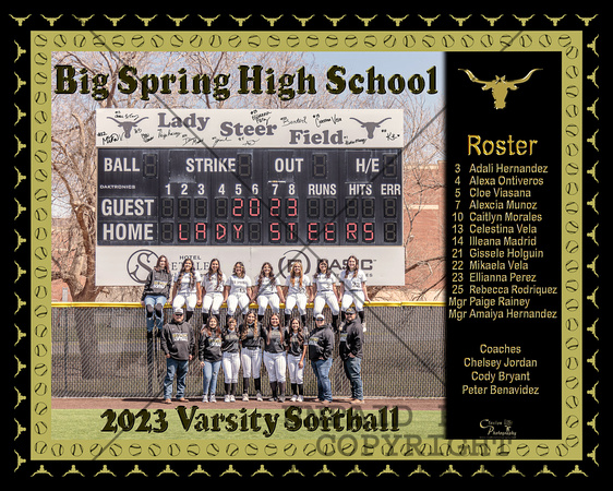 2023 BSHS Varsity Softball Team Banner - 8x10