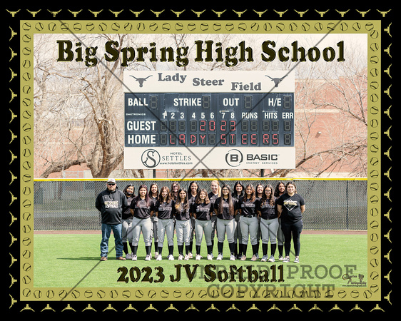 2022 BSHS Varsity Softball Team Banner - 8x10