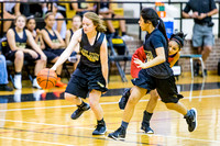BSHS Women's Basketball vs Coahoma, 10/31/2015