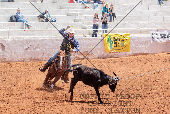 Cole Gillespie - Team Roping