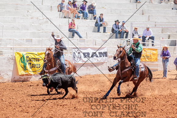 Riley Jenkins And Jacob Walters-  Team Roping