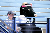 Forsan Buffalo Mascot Sitting In The Stands