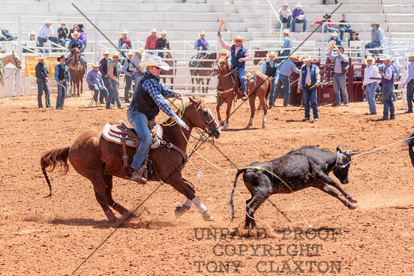 Cole Gillespie - Team Roping