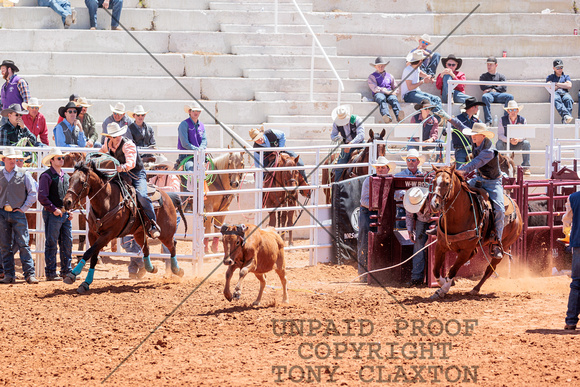 Logan White And Tanner Coy - Team Roping