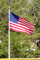 American Flag